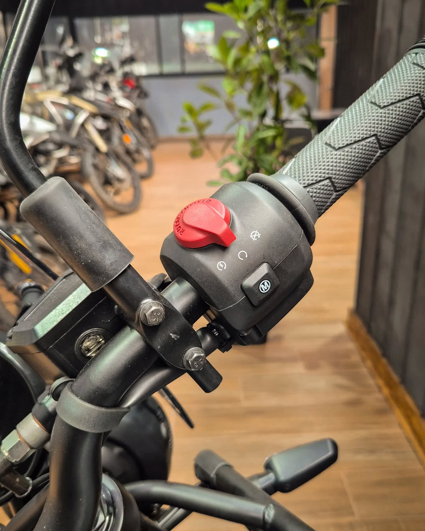 Royal Enfield Himalayan 450 - Imagen 4