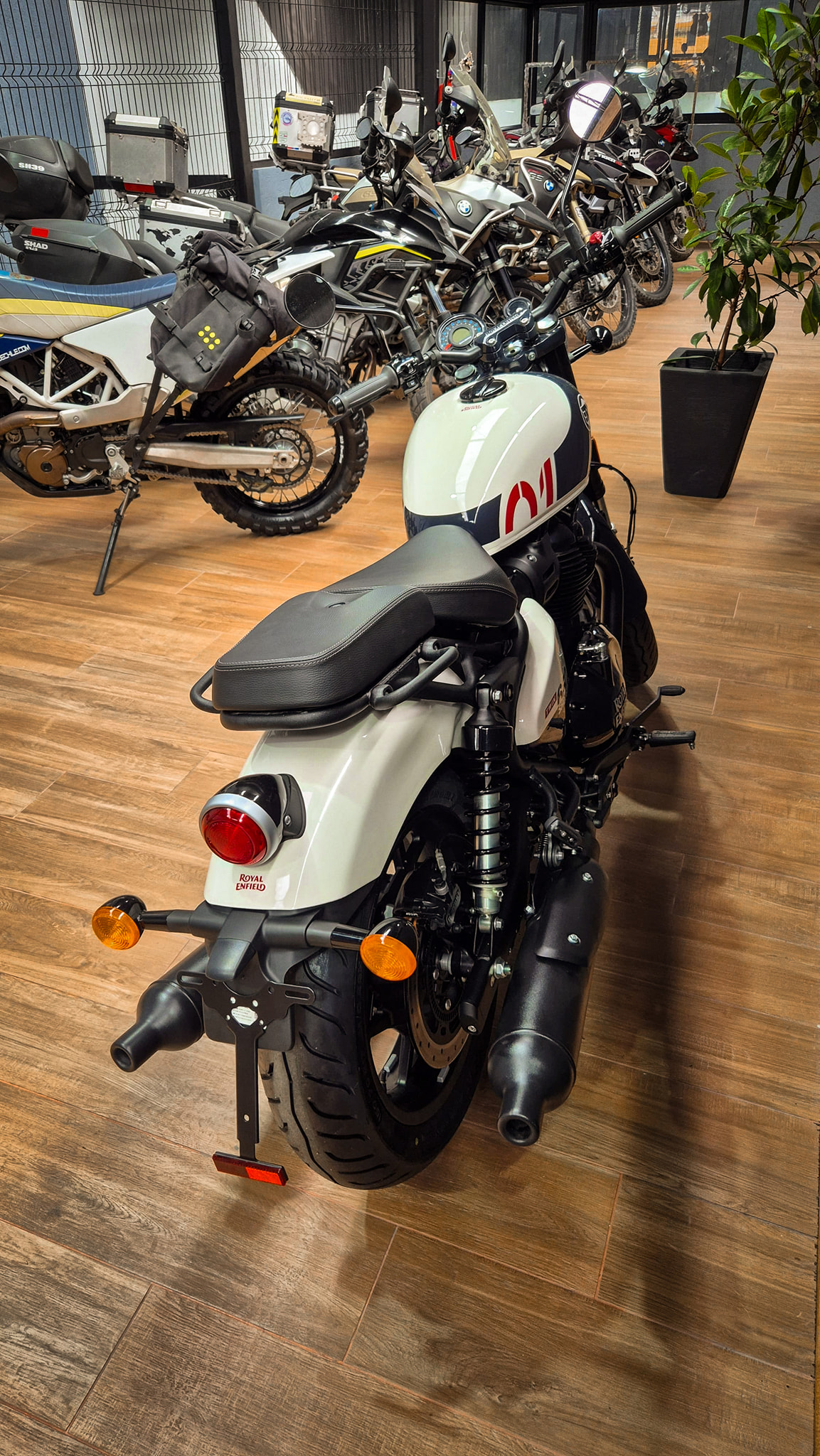 Royal Enfield Shotgun 650 - Imagen 3